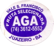 No. 32675