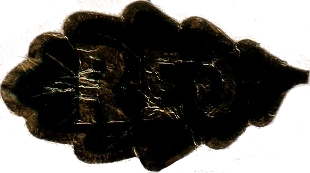 No. 48259